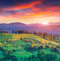 Wall Mural - Colorful summer sunrise in the mountain village.