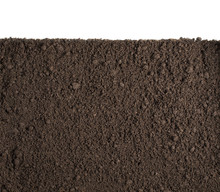 Soil Or Dirt Section Isolated On White Background