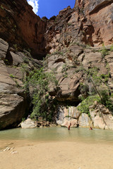 Canvas Print - Baignade dans le subway, Zion