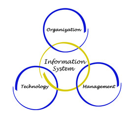 Information Systems