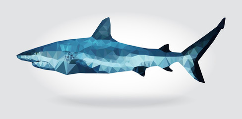 Wall Mural - shark body vector isolated geometric modern illustration