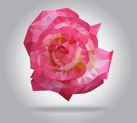 Wall Mural - Rose flower vector isolated geometric illustration