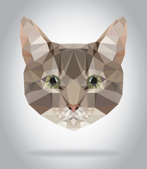 Wall Mural - Cat head vector isolated, geometric modern illustration