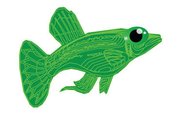 Wall Mural - Green fish cartoon