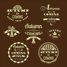 Set Of Autumn Labels And Signs