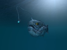 Ancient Angler Fish