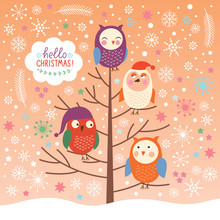 Cute Owls On The Tree, Christmas Background