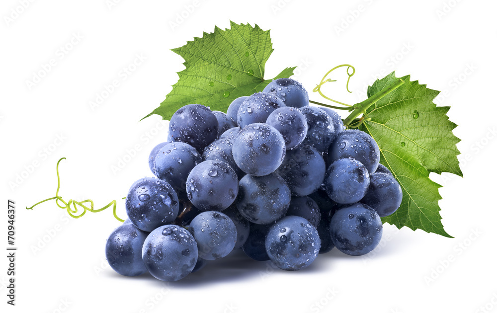 Blue wet grapes bunch isolated on white background - obrazy, fototapety, plakaty 