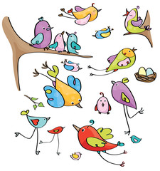 Vector  cute birds cartoons.