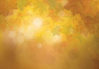 Wall Mural - Vector autumnal leaves on bokeh background.