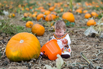 Sticker - Pumpkin patch