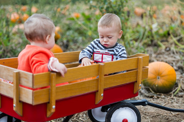 Sticker - Pumpkin patch