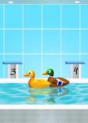 Poster - Ducks in the pool