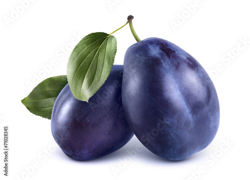 Cuadros en Lienzo Two blue plums isolated on white background