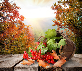 Poster - Viburnum on table