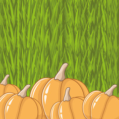 Canvas Print - Pumpkins.