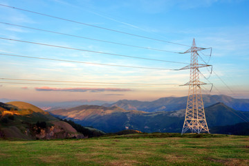 electric pole in nature