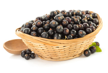 Poster - black currants on white