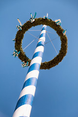 Canvas Print - maypole