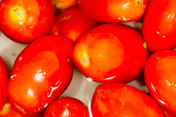 Canvas Print - Fresh tomatoes in water