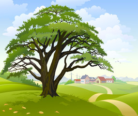 Wall Mural - A peaceful village in a lush green environment