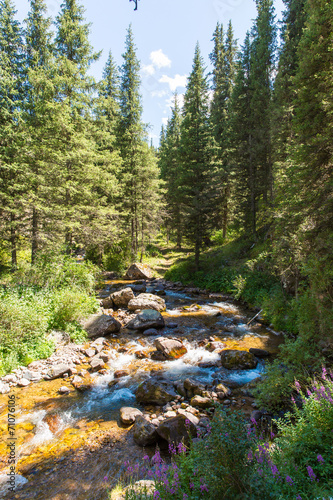 Naklejka dekoracyjna Assy plateau in Tien-Shan mountain in Almaty, Kazakhstan