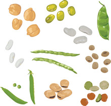 Set Of Different Legumes