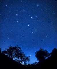 Wall Mural - starry sky