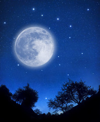 Wall Mural - starry sky
