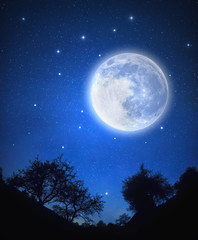 Wall Mural - starry sky