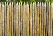 Solid picket fence of sharp stakes