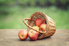 Apples In Wicker Basket On Table
