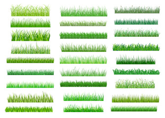 fresh green spring grass borders
