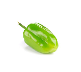 Wall Mural - Ripe green bell pepper.