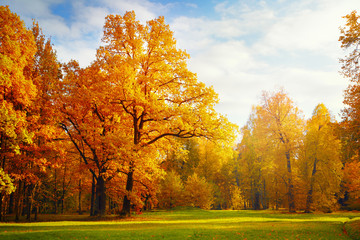 autumn landscape