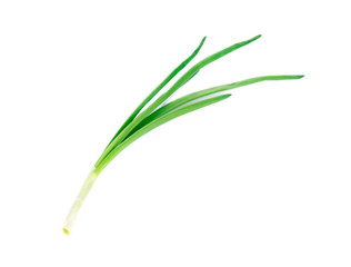 Wall Mural - Green onion.