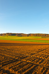 Canvas Print - Farmland