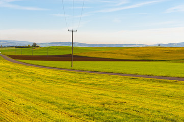 Canvas Print - Power Line