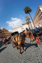 Carriage Pulled By A Horse, Waiting For Tourists To Piazza Venez