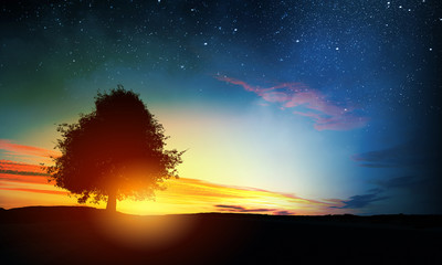 Wall Mural - natural landscape