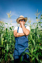 Poster - Farmer inspecting corn plant in field