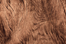 Old Wood Surface