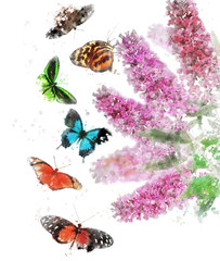 Wall Mural - Watercolor Image Of Butterfly Bush