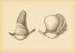 seventeen century hats - drawing