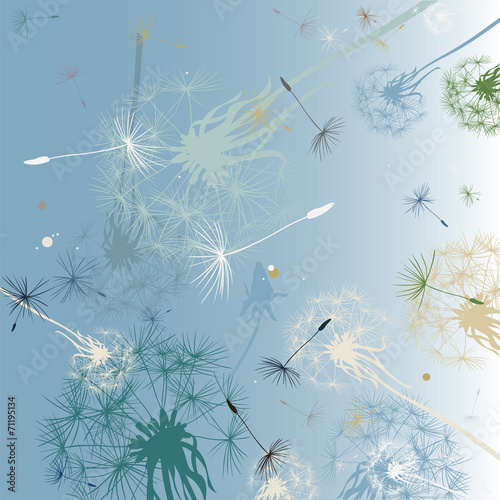 Plakat na zamówienie dandelions background