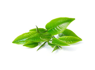 Wall Mural - green tea leaf isolated on white background