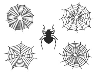 spider net