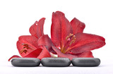 Fototapeta Kamienie - Mokre kamienie bazaltowe z liliami