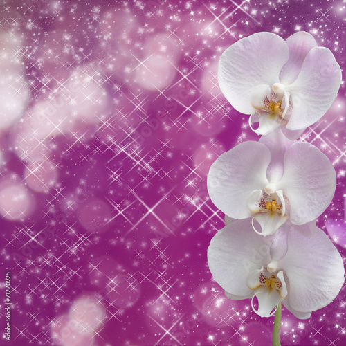 Dekoracja na wymiar  piekny-rozowy-oddzial-orchidei-na-abstrakcyjnym-tle-delikatesow