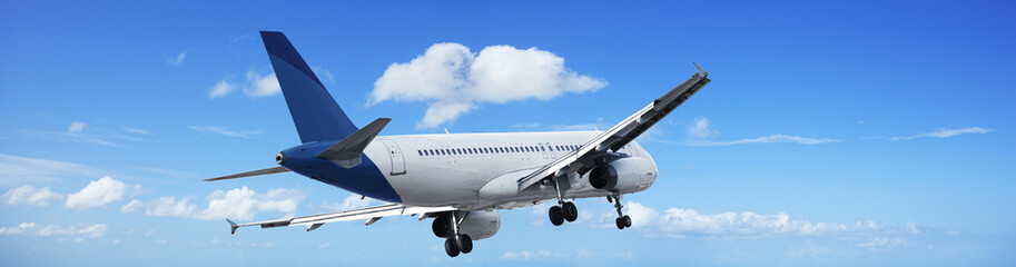 Fototapete - Jet plane in a blue sky